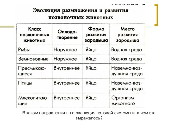 В каком направлении шла эволюция половой системы и в чем это выражалось?