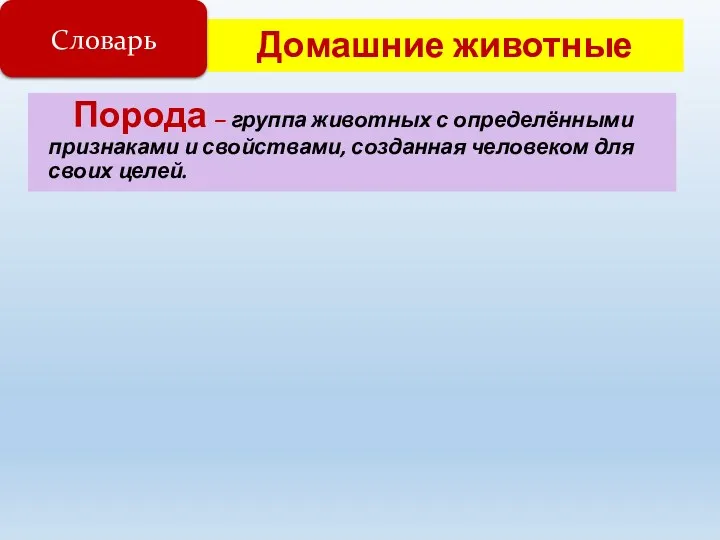 Домашние животные Порода – группа животных с определёнными признаками и свойствами, созданная человеком