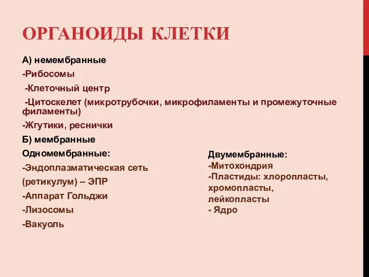 ОРГАНОИДЫ КЛЕТКИ А) немембранные -Рибосомы -Клеточный центр -Цитоскелет (микротрубочки, микрофиламенты