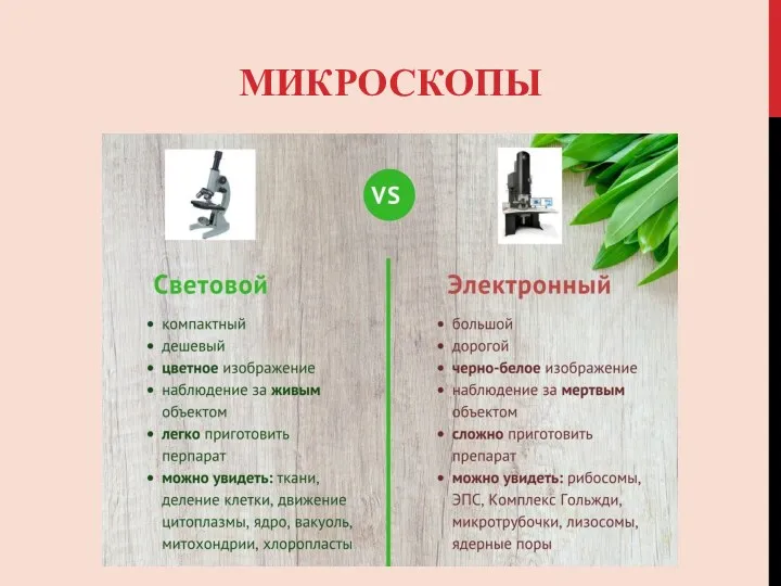 МИКРОСКОПЫ