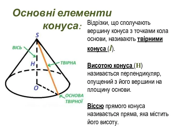 Основні елементи конуса: Відрізки, що сполучають вершину конуса з точками