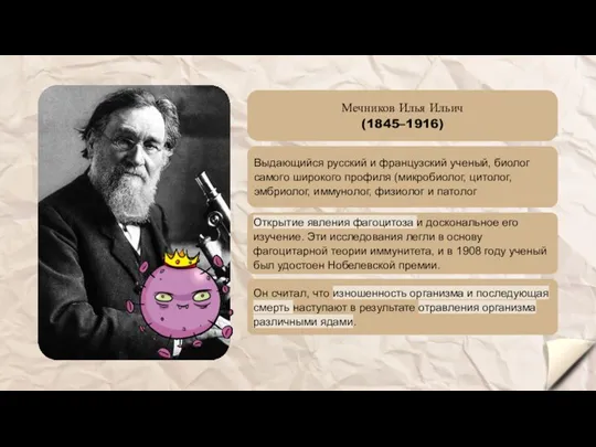 Он считал, что изношенность организма и последующая смерть наступают в результате отравления организма