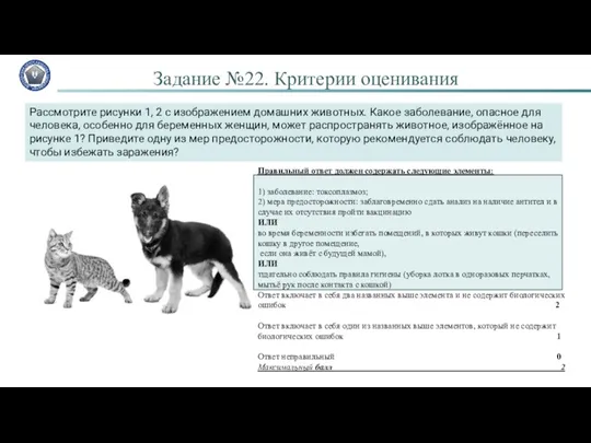 Задание №22. Критерии оценивания Рассмотрите рисунки 1, 2 с изображением домашних животных. Какое