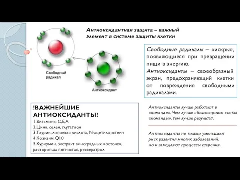 Антиоксидантная защита – важный элемент в системе защиты клетки Свободные