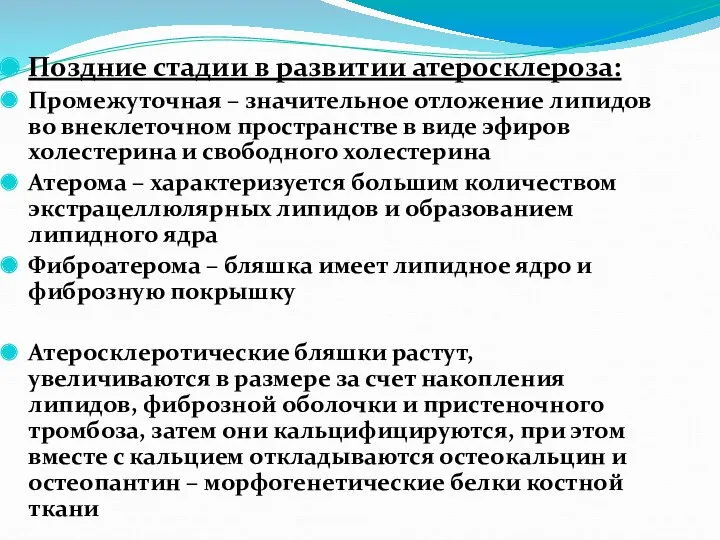 Поздние стадии в развитии атеросклероза: Промежуточная – значительное отложение липидов