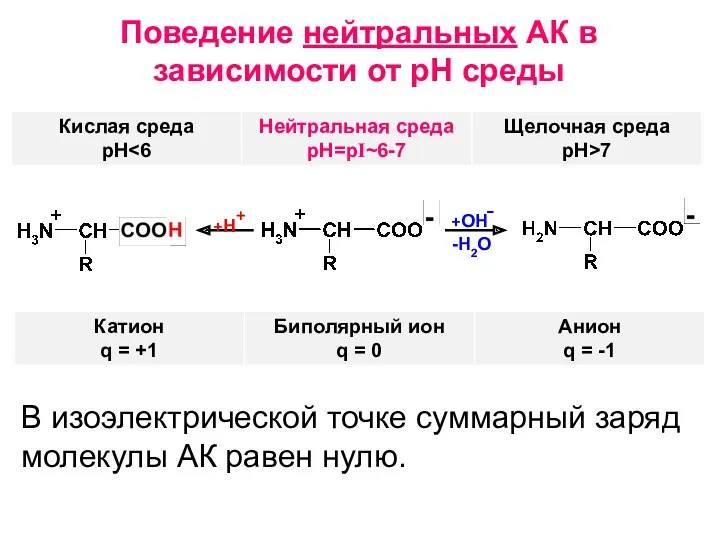 Поведение нейтральных АК в зависимости от рН среды +ОН -