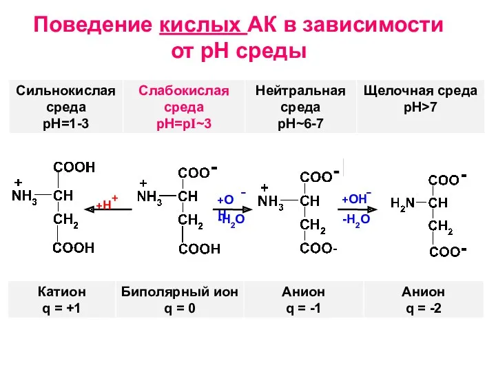 Поведение кислых АК в зависимости от рН среды +Н+ +ОН - +ОН - -H2O -H2O