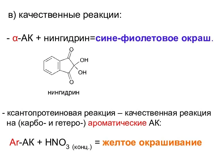 в) качественные реакции: - α-АК + нингидрин=сине-фиолетовое окраш. - ксантопротеиновая