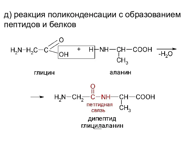 д) реакция поликонденсации с образованием пептидов и белков