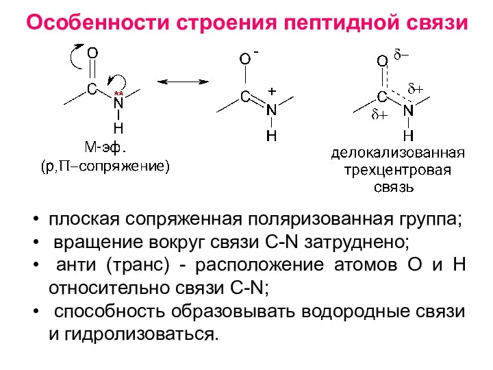 Особенности строения пептидной связи плоская сопряженная поляризованная группа; вращение вокруг