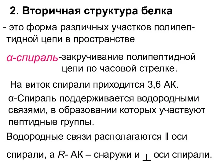 2. Вторичная структура белка α-спираль это форма различных участков полипеп-