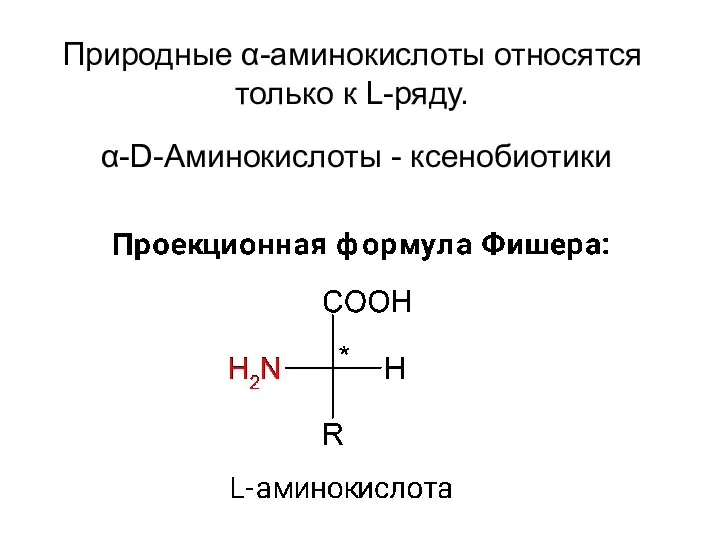 Природные α-аминокислоты относятся только к L-ряду. α-D-Аминокислоты - ксенобиотики