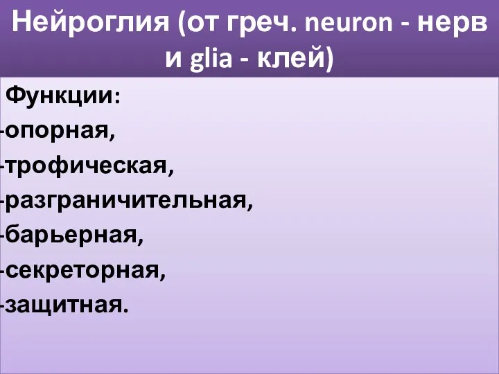 Нейроглия (от греч. neuron - нерв и glia - клей) Функции: опорная, трофическая,