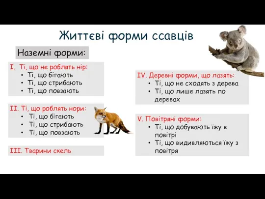 Життєві форми ссавців Наземні форми: І. Ті, що не роблять