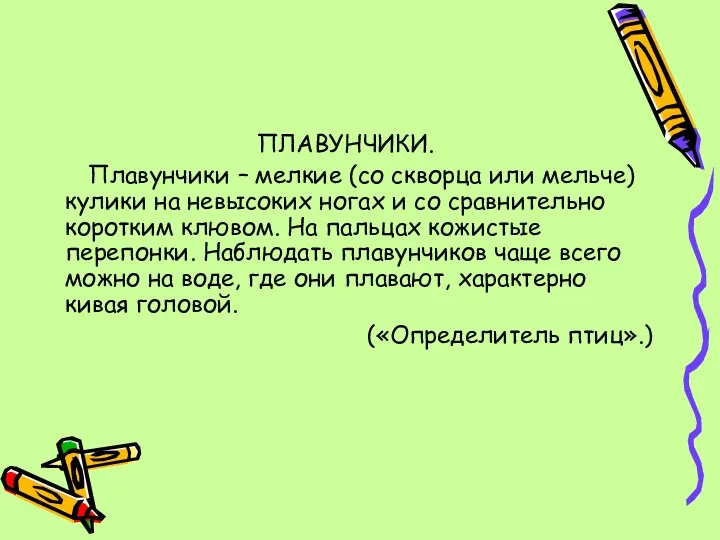 ПЛАВУНЧИКИ. Плавунчики – мелкие (со скворца или мельче) кулики на