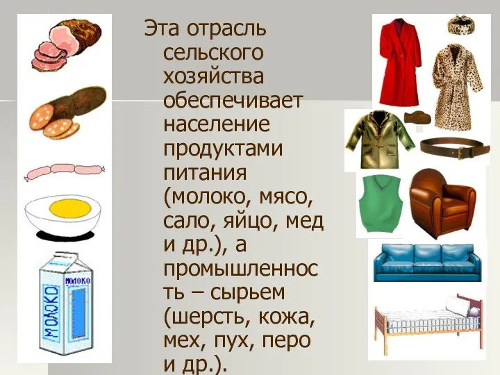 Эта отрасль сельского хозяйства обеспечивает население продуктами питания (молоко, мясо,