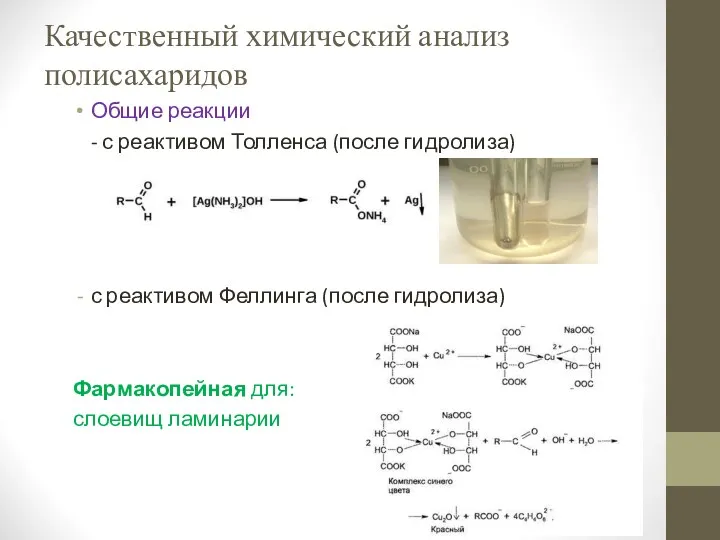 Качественный химический анализ полисахаридов Общие реакции - с реактивом Толленса