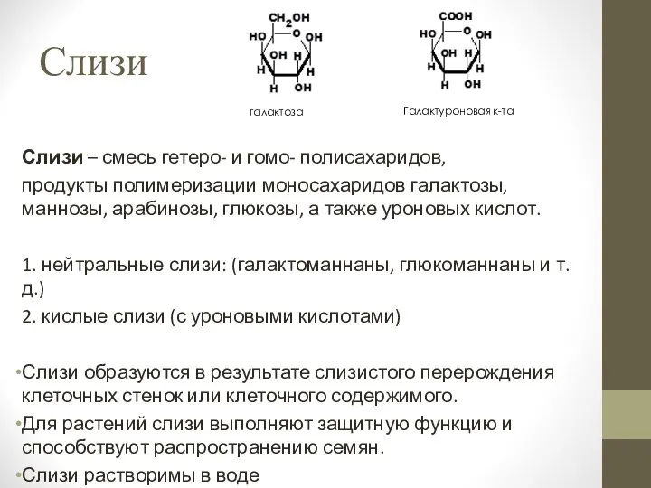 Слизи Слизи – смесь гетеро- и гомо- полисахаридов, продукты полимеризации