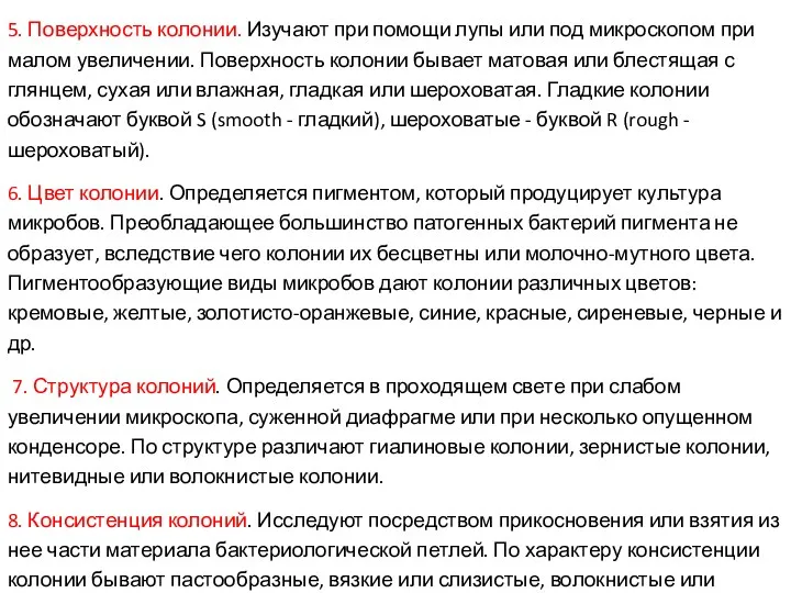 5. Поверхность колонии. Изучают при помощи лупы или под микроскопом