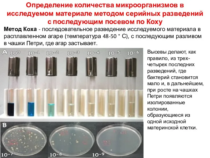 Метод Коха - последовательное разведение исследуемого материала в расплавленном агаре