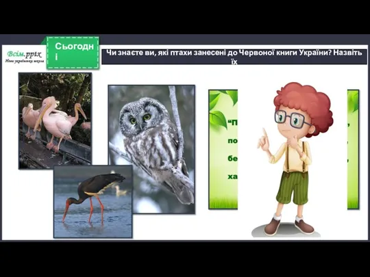 Сьогодні Чи знаєте ви, які птахи занесені до Червоної книги України? Назвіть їх