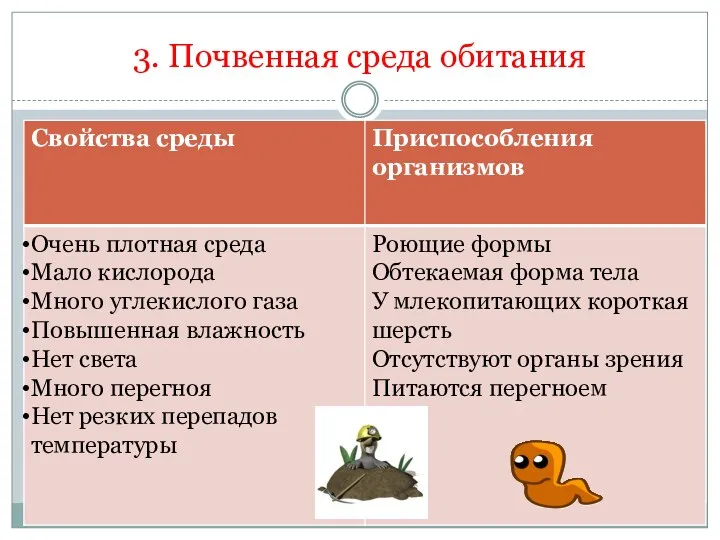 3. Почвенная среда обитания