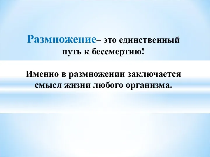 Размножение– это единственный путь к бессмертию! Именно в размножении заключается смысл жизни любого организма.