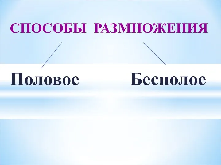 СПОСОБЫ РАЗМНОЖЕНИЯ Половое Бесполое