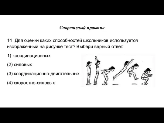 Спортивный практик 14. Для оценки каких способностей школьников используется изображенный