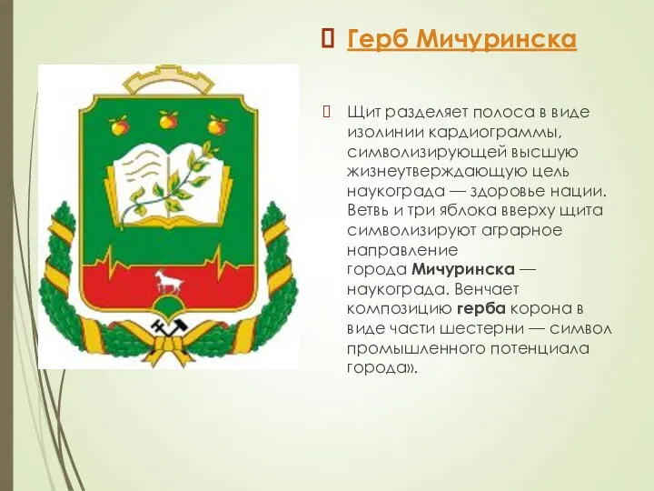 Герб Мичуринска Щит разделяет полоса в виде изолинии кардиограммы, символизирующей