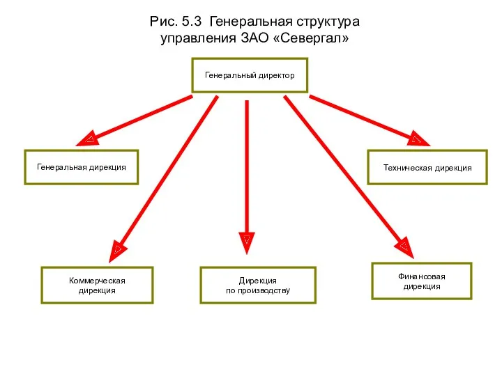 Генеральная структура управления ЗАО Севергал