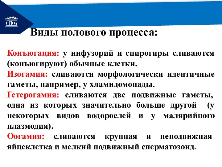 РЕМОНТ Виды полового процесса: Конъюгация: у инфузорий и спирогиры сливаются