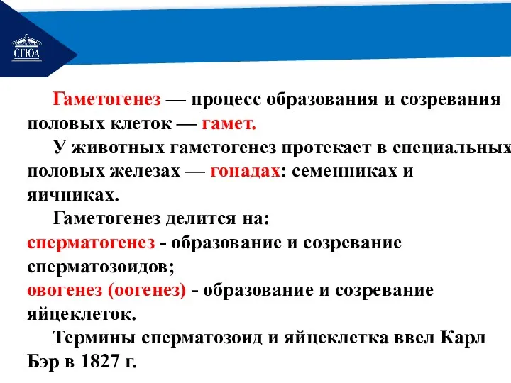 РЕМОНТ Гаметогенез — процесс образования и созревания половых клеток —