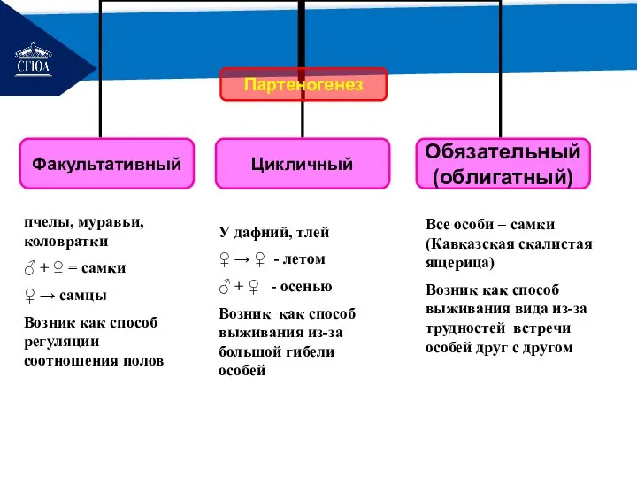 РЕМОНТ пчелы, муравьи, коловратки ♂ + ♀ = самки ♀