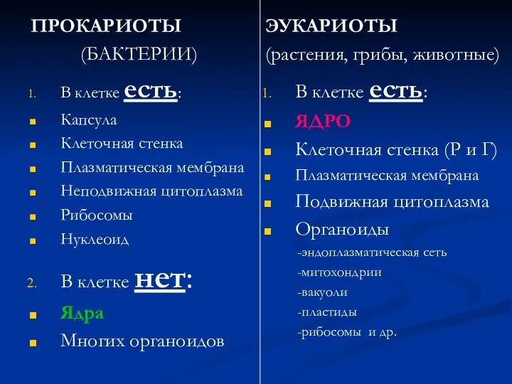 ПРОКАРИОТЫ (БАКТЕРИИ) В клетке есть: Капсула Клеточная стенка Плазматическая мембрана