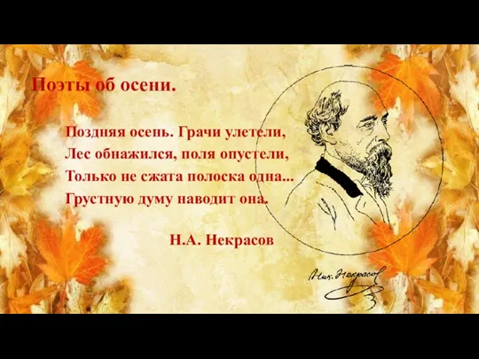 Н.А. Некрасов Поздняя осень. Грачи улетели, Лес обнажился, поля опустели,