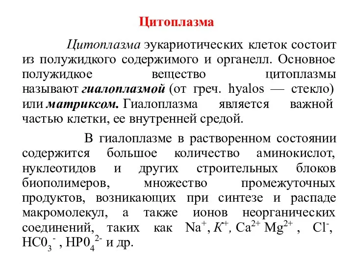 Цитоплазма Цитоплазма эукариотических клеток состоит из полужидкого содержимого и органелл.