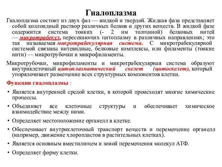 Гиалоплазма Гиалоплазма состоит из двух фаз — жидкой и твердой.