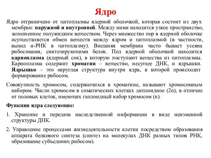 Ядро Ядро отграничено от цитоплазмы ядерной оболочкой, которая состоит из