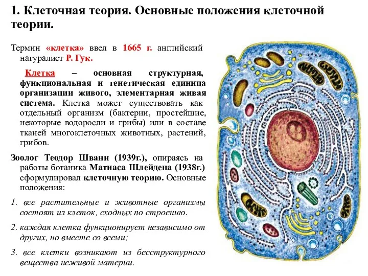 1. Клеточная теория. Основные положения клеточной теории. Термин «клетка» ввел