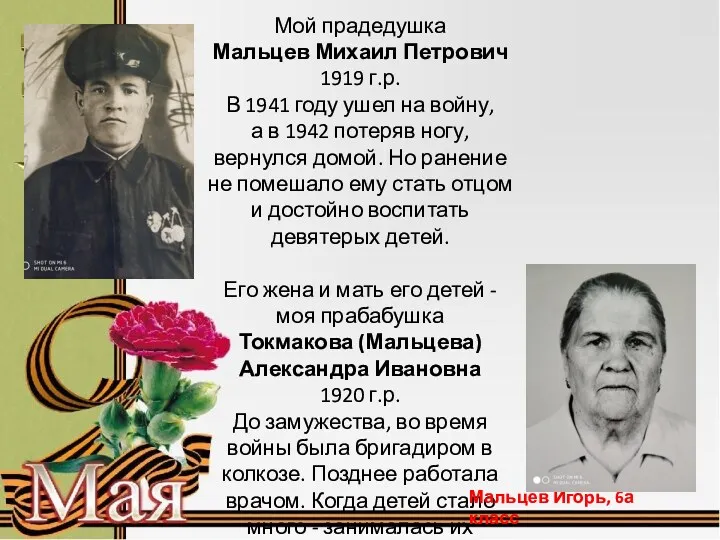 Мой прадедушка Мальцев Михаил Петрович 1919 г.р. В 1941 году
