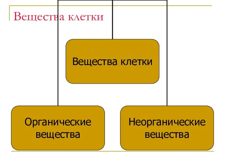 Вещества клетки