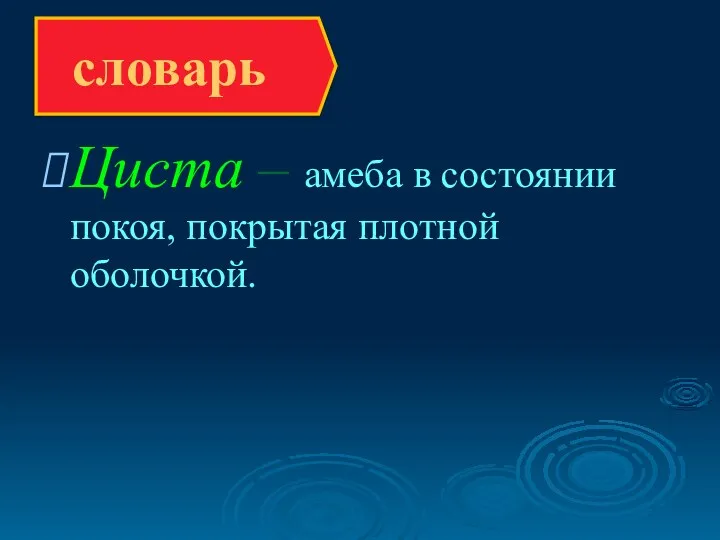 Циста – амеба в состоянии покоя, покрытая плотной оболочкой. словарь