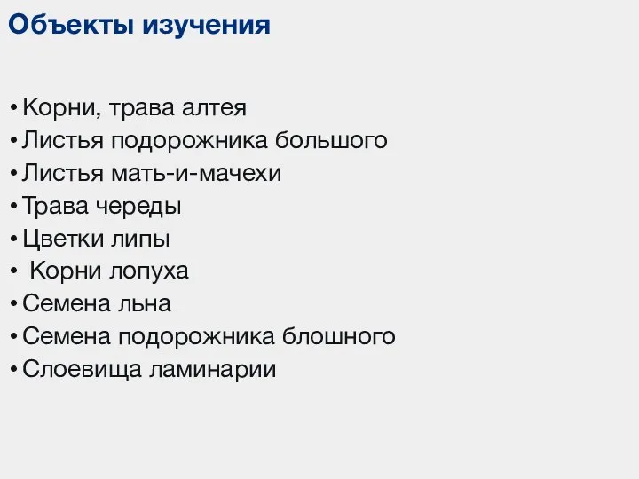 Объекты изучения Корни, трава алтея Листья подорожника большого Листья мать-и-мачехи