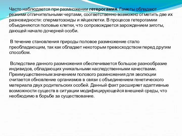 Часто наблюдается при размножении гетерогамия. Гаметы обладают резкими отличительными чертами,