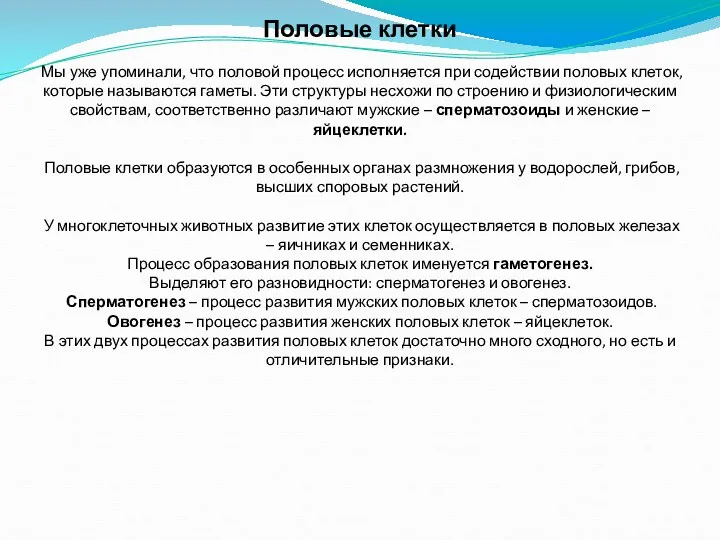 Половые клетки Мы уже упоминали, что половой процесс исполняется при