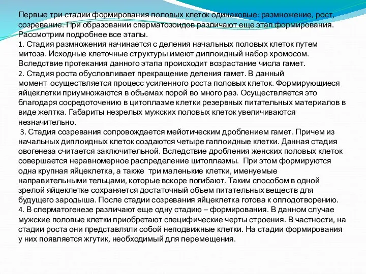 Первые три стадии формирования половых клеток одинаковые: размножение, рост, созревание.