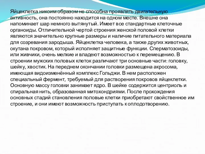 Яйцеклетка никоим образом не способна проявлять двигательную активность, она постоянно