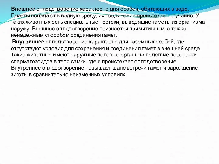 Внешнее оплодотворение характерно для особей, обитающих в воде. Гаметы попадают