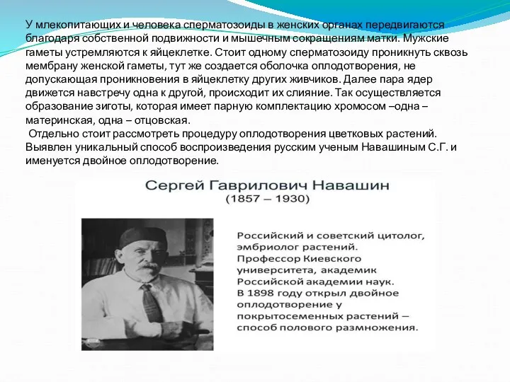 У млекопитающих и человека сперматозоиды в женских органах передвигаются благодаря